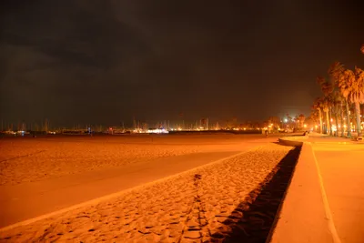 DSC_2459 (Large).JPG